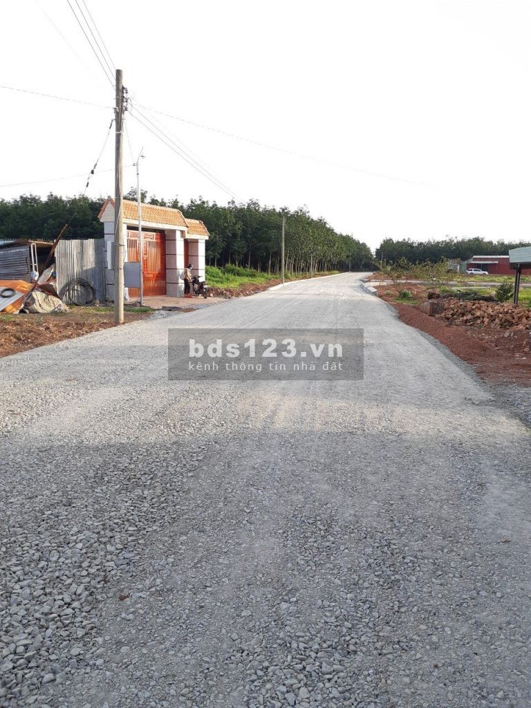 Cần nhượng gấp 1178m2 gần ngay chợ và UBND Tân Phước đi vào