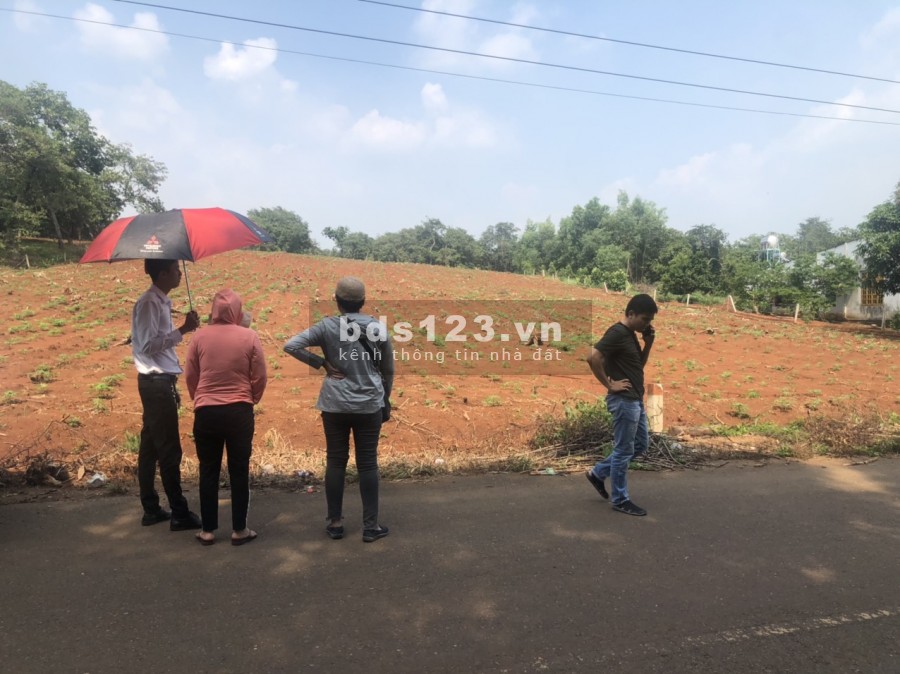 Bán miếng đất 6000m2 Giá rẻ,MT đường 32m, Thích hợp làm kho xưởng Long Thành