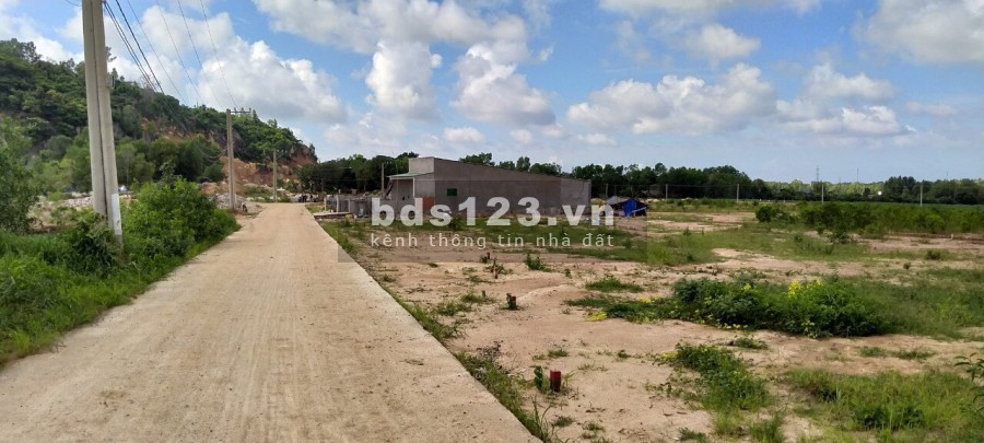 Chú Tuấn cần tiền chữa bệnh cho con trai bán gấp lô đất 250m2 hướng ĐN (5x50m) giá 1.050