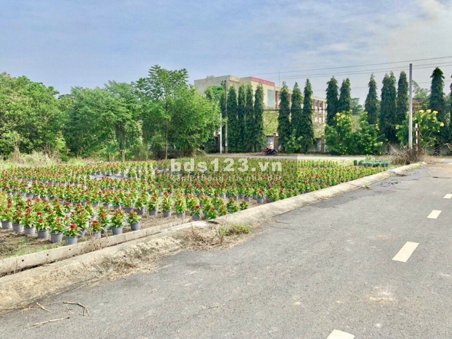 Bán lô đất nền thổ cư 100% liền kề KCN Bàu Xéo. Đối diện trường cấp 2 Huỳnh Túc Kháng.