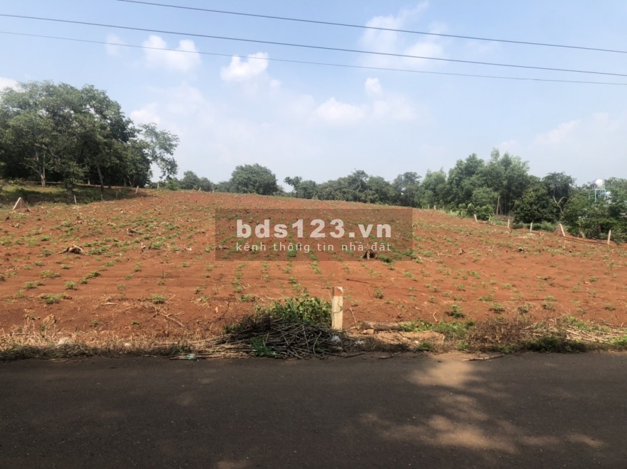 Bán miếng đất 6000m2 Giá rẻ,MT đường 32m, Thích hợp làm kho xưởng Long Thành