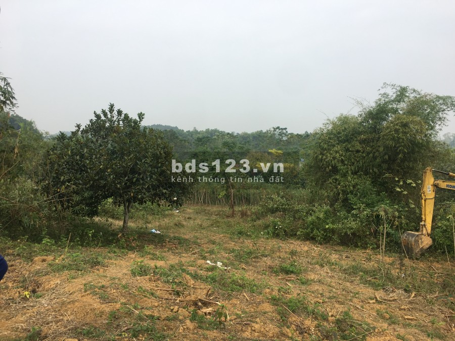 Chính chủ bán mảnh đất rộng 5.129m2 xã yên bài huyên ba vì