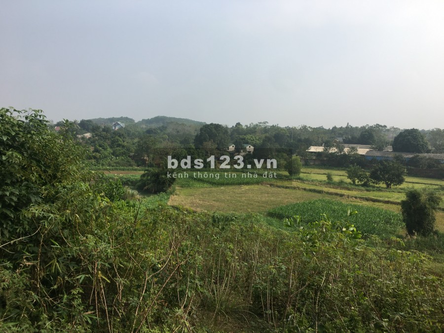 Chính chủ bán mảnh đất rộng 5.129m2 xã yên bài huyên ba vì