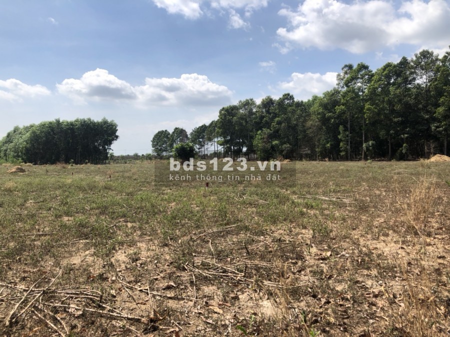 Bán đất chính chủ Tân Hiệp, 3455 m2 chỉ 10 tỷ sổ đỏ bao sang tên.