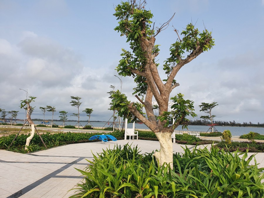 Cơ hội sở hữu đất nền ven sông, gần biển chỉ từ 2,1 tỷ/lô