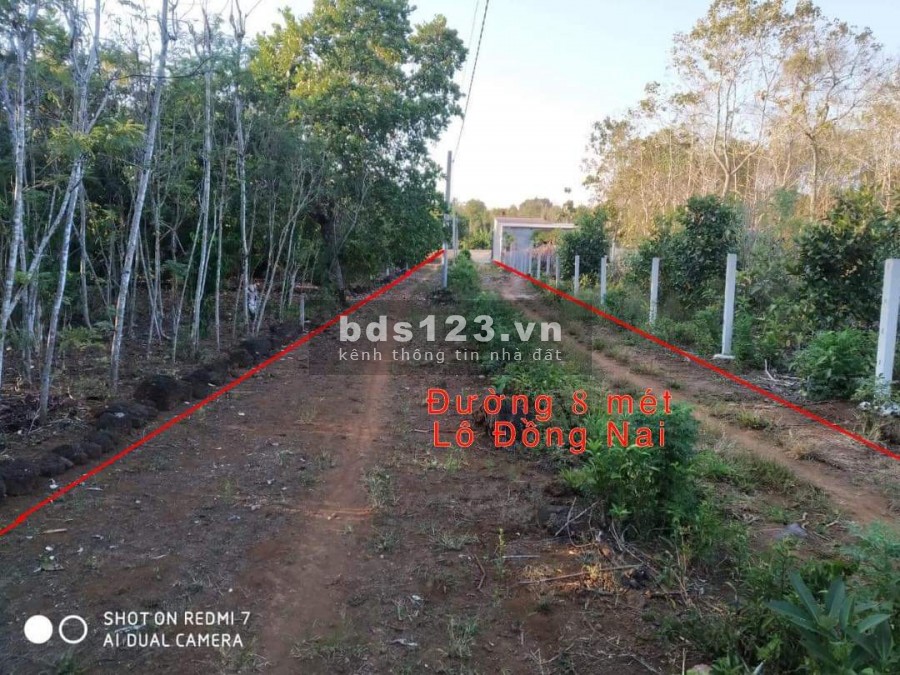 Bán lô đất 2 mặt tiền 2.500 m2, cách chợ Phú Tân , Định Quán, Đồng Nai. Gía bán 1 tỷ, sổ hồng riêng 0919508828