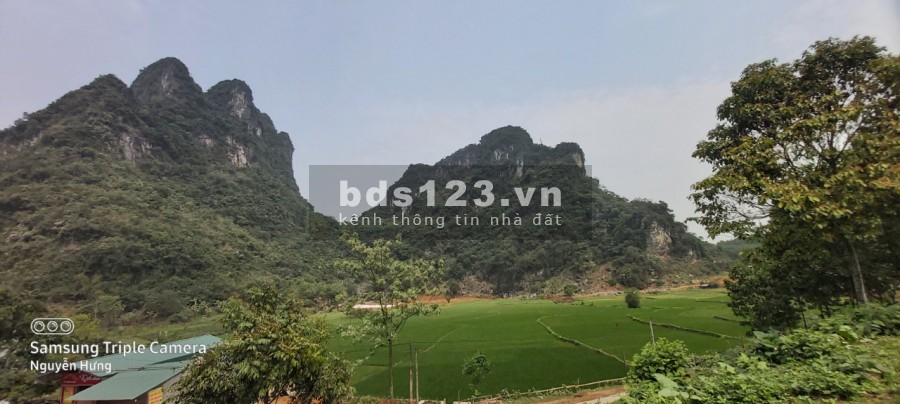Cần bán đất view núi, view đồng cực nên thơ, diện tích 3363m2, có 800m2 thổ cư giá công khai 5 tỷ