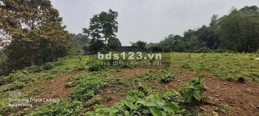 Cần bán đất view núi, view đồng cực nên thơ, diện tích 3363m2, có 800m2 thổ cư giá công khai 5 tỷ