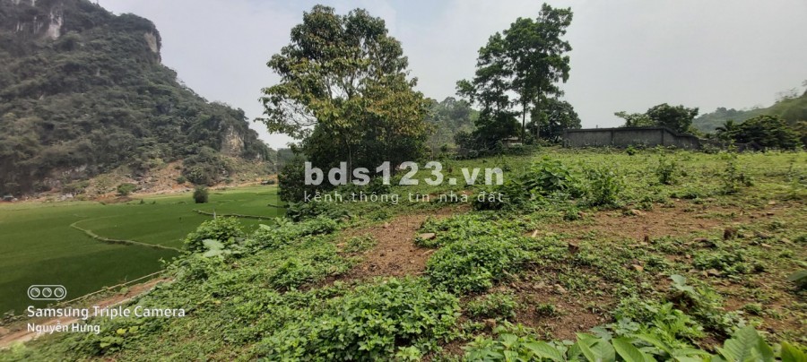 Cần bán đất view núi, view đồng cực nên thơ, diện tích 3363m2, có 800m2 thổ cư giá công khai 5 tỷ