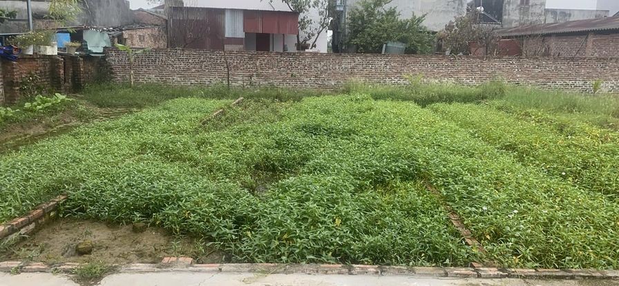 48m Đông Lai, Quang Tiến, Sóc Sơn, 550 triệu/lô, MT: 5M, đường 4,5m, cach KCN NỘI BÀI 1km