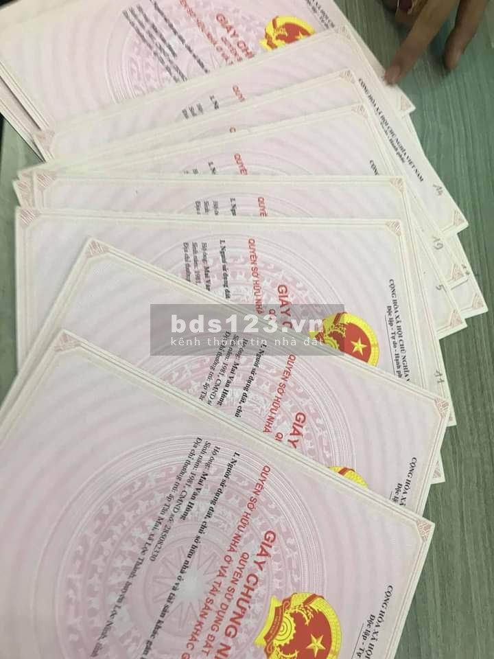 Cần bán gấp, đất trồng cây lâu năm