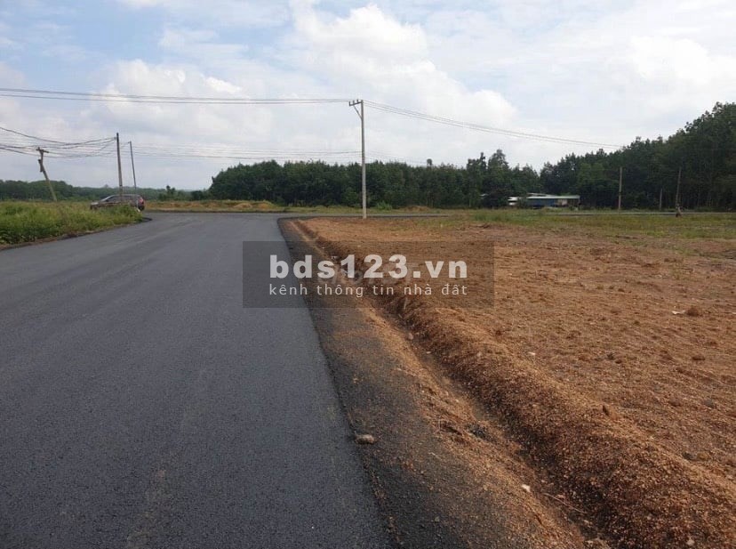 Cần bán gấp, đất trồng cây lâu năm