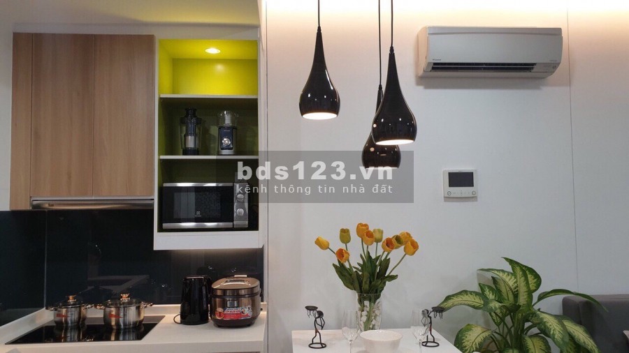 Căn hộ 1 Phòng ngủ Republic Plaza cần cho thuê gấp Giá tốt chỉ #12 Triệu