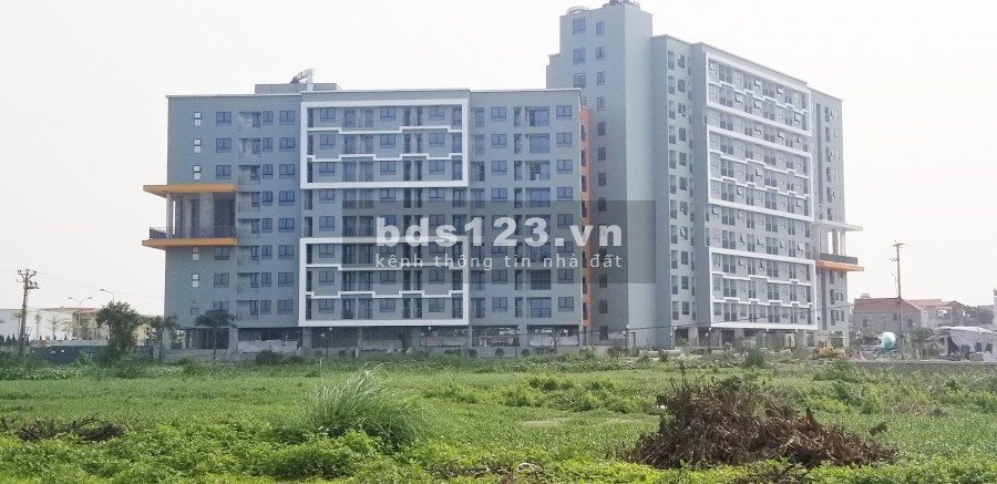 Miễn phí Tư vấn hồ sơ NHÀ Ở XÃ HỘI CT4 Kim Chung, Đông Anh. Cam kết chọn căn tầng 0975607865