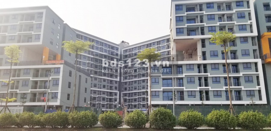 Miễn phí Tư vấn hồ sơ NHÀ Ở XÃ HỘI CT4 Kim Chung, Đông Anh. Cam kết chọn căn tầng 0975607865