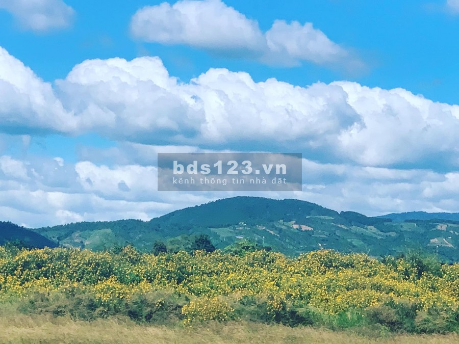 BÁN ĐẤT 3 TRIỆU/M2 CÁCH CHỢ ĐÀ LẠT 30 PHÚT