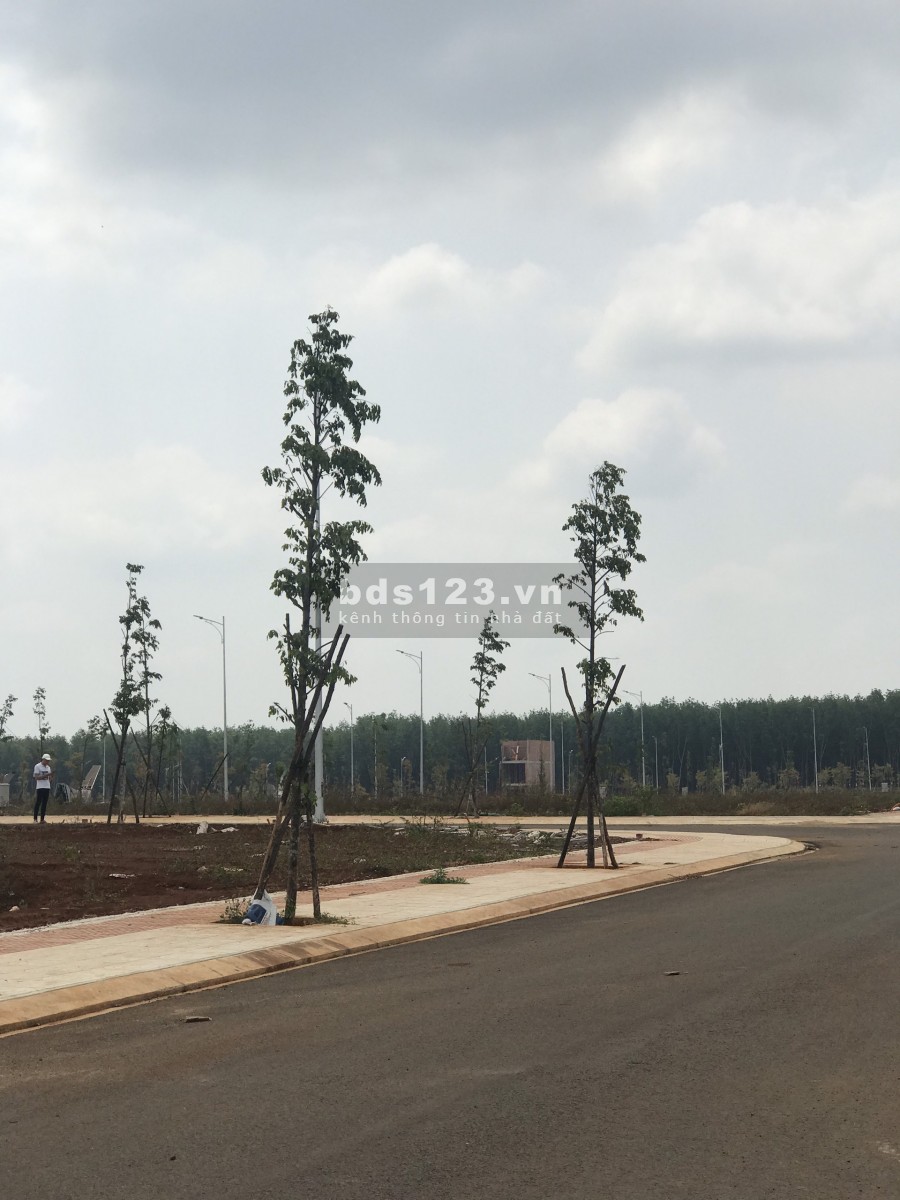 Trình Làng Siêu Phẩm Đất Nền Sổ Đỏ Hót Nhất Thị Trường Hiện Nay - KĐT TNR Stars Đak Đoa