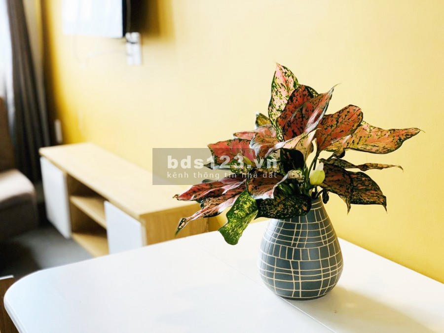Cho thuê Chung Cư Mini gác lửng Nội Thất Gỗ cửa sổ mát mẻ có máy giặt riêng quận 7