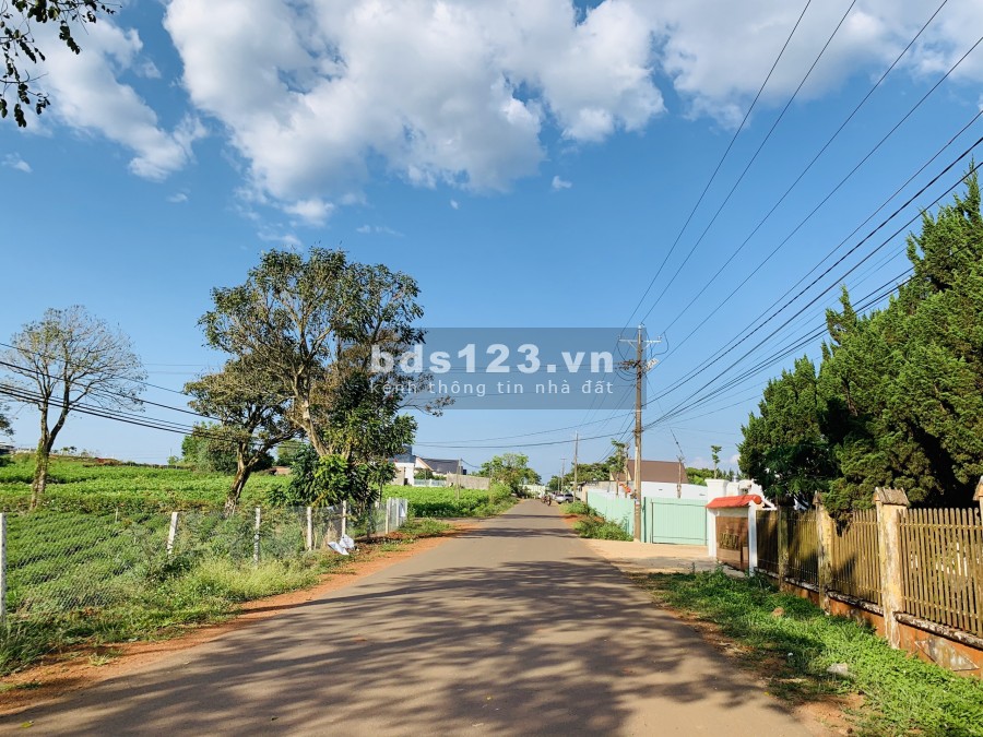 Bán Gấp Lô Đất 220M2 (10X22) Thổ Cư 100%, Sổ Hồng Sẵn