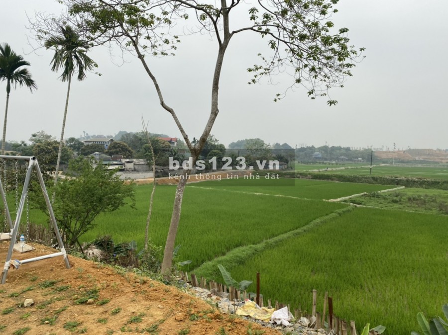 CẦN BÁN 1896M/400M ONT TẠI XÓM GIẾNG XẠ_CƯ YÊN_LƯƠNG SƠN_HB GIÁ 4,2 TỶ