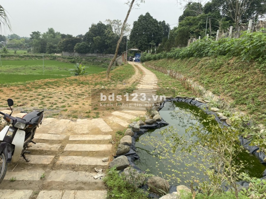 CẦN BÁN 1896M/400M ONT TẠI XÓM GIẾNG XẠ_CƯ YÊN_LƯƠNG SƠN_HB GIÁ 4,2 TỶ