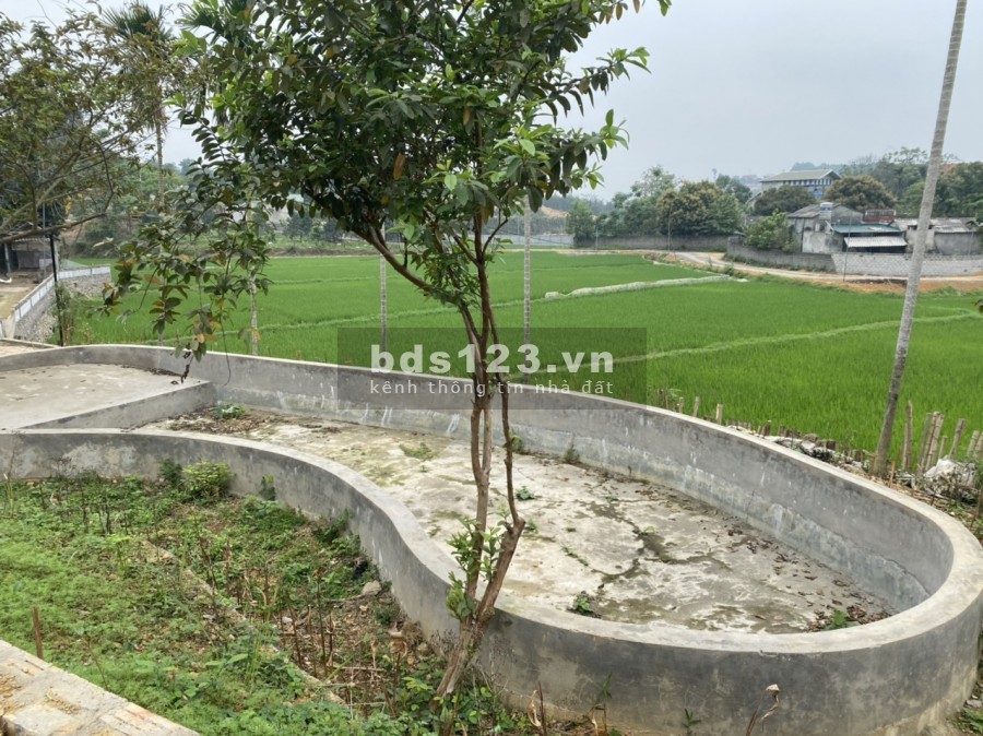 CẦN BÁN 1896M/400M ONT TẠI XÓM GIẾNG XẠ_CƯ YÊN_LƯƠNG SƠN_HB GIÁ 4,2 TỶ