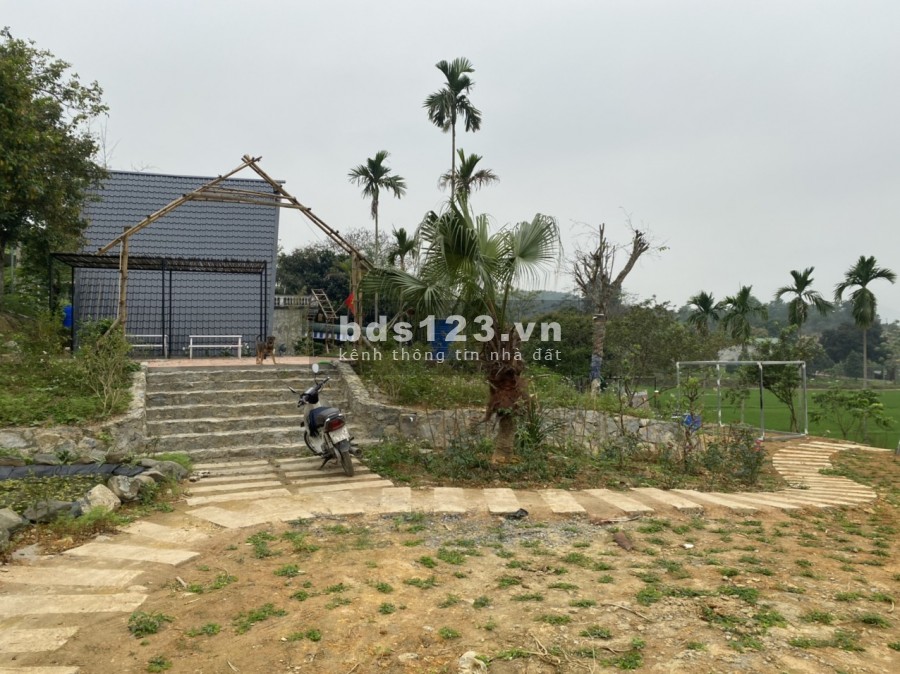 CẦN BÁN 1896M/400M ONT TẠI XÓM GIẾNG XẠ_CƯ YÊN_LƯƠNG SƠN_HB GIÁ 4,2 TỶ