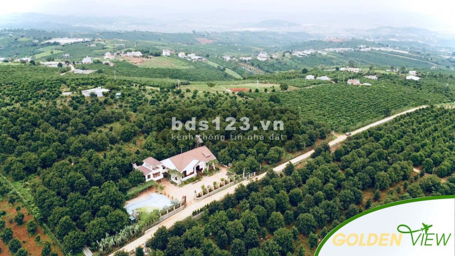 ĐẤT ĐẸP VIEW SÂN BAY LIÊN KHƯƠNG 1.7 TRIỆU/M2
