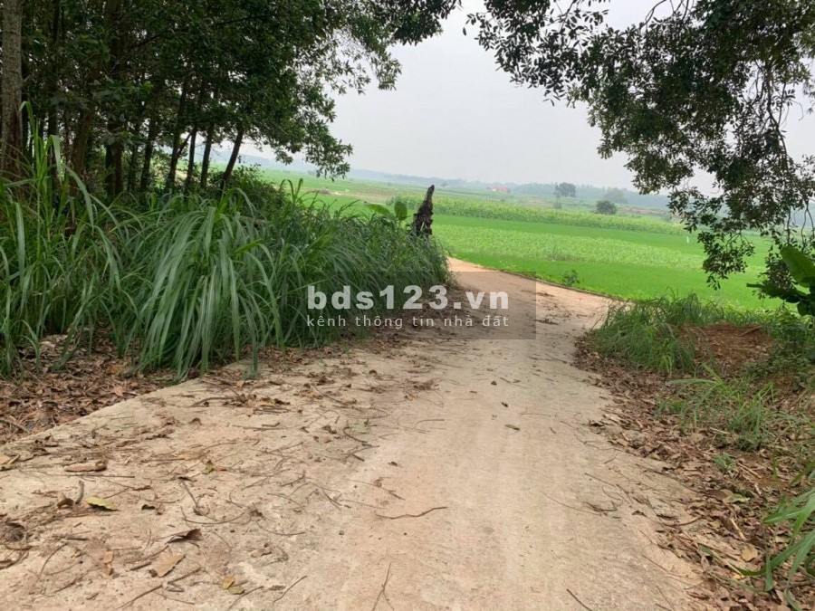 BÁN ĐẤT KIM SƠN SƠN TÂY LÔ GÓC 1302m VIEW CÁNH ĐỒNG