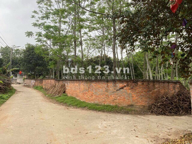 BÁN ĐẤT KIM SƠN SƠN TÂY LÔ GÓC 1302m VIEW CÁNH ĐỒNG