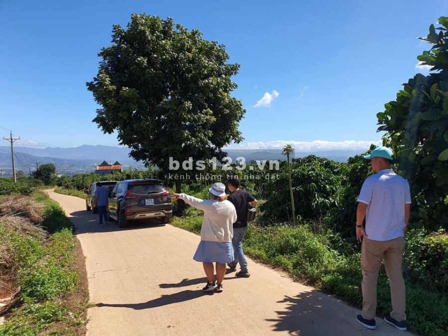 ĐẤT ĐẸP VIEW SÂN BAY LIÊN KHƯƠNG 1.7 TRIỆU/M2