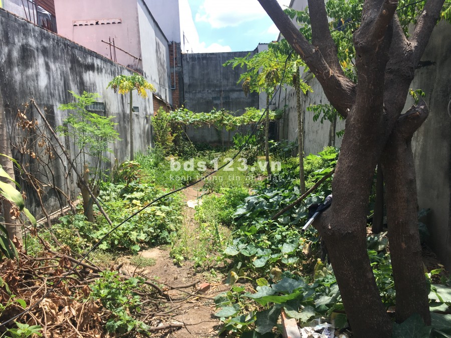 Bán lô đất thổ cư Quốc lộ 50 ấp 5 xã Phong Phú H. Bình Chánh