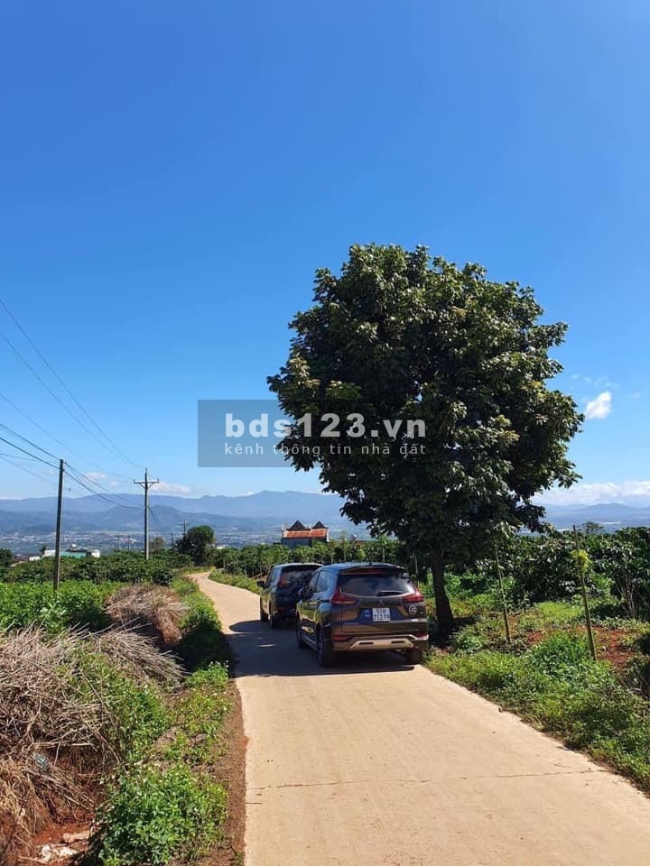 ĐẤT ĐẸP VIEW SÂN BAY LIÊN KHƯƠNG 1.7 TRIỆU/M2