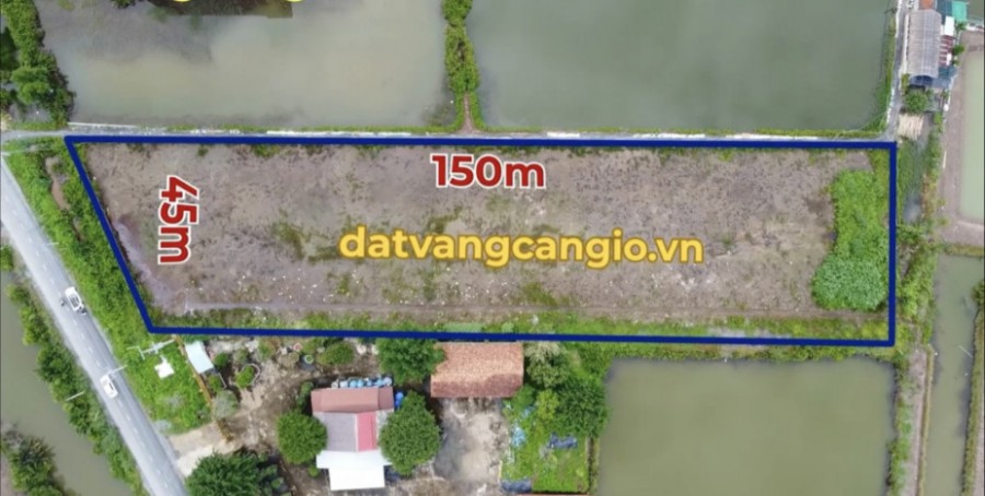 Sang gấp lô đất 6142m² ở Cần Giờ giá GIẢM CÒN 18.4 tỷ
