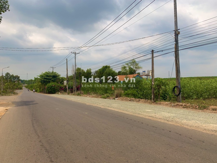 Cần ra gấp lô đất lấy tiền cưới vợ 1616m2(40x40) gần sân bay Long Thành