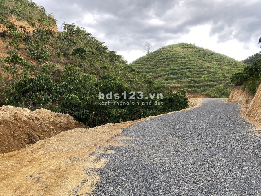 65. Cần bán lô đất cách đường Blaosere 2km