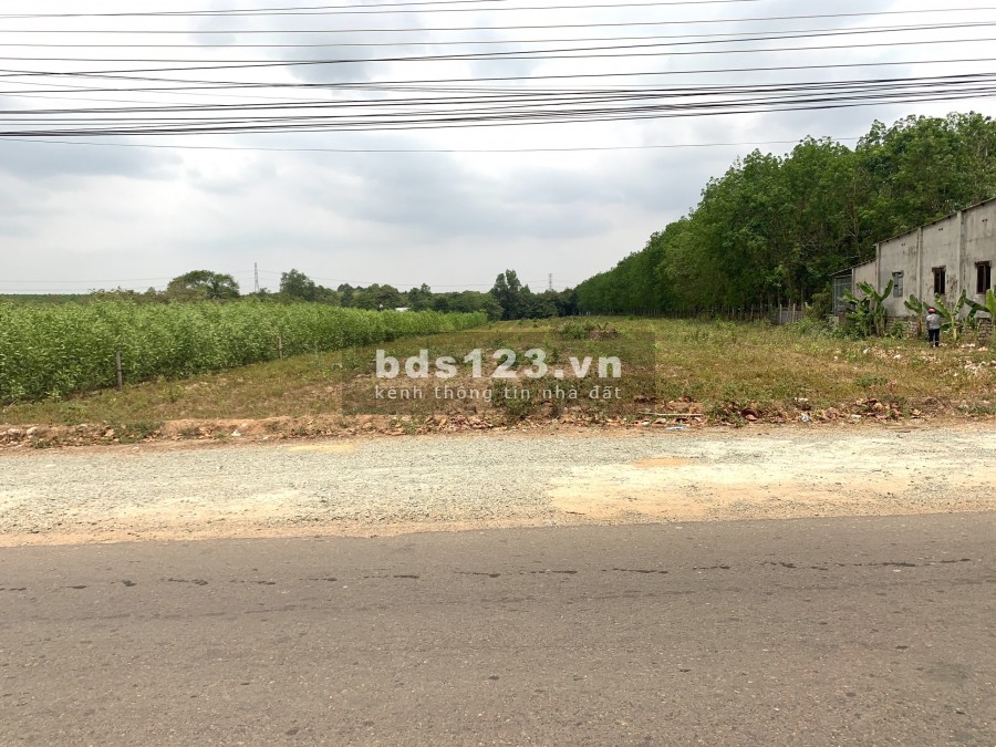 Cần ra gấp lô đất lấy tiền cưới vợ 1616m2(40x40) gần sân bay Long Thành