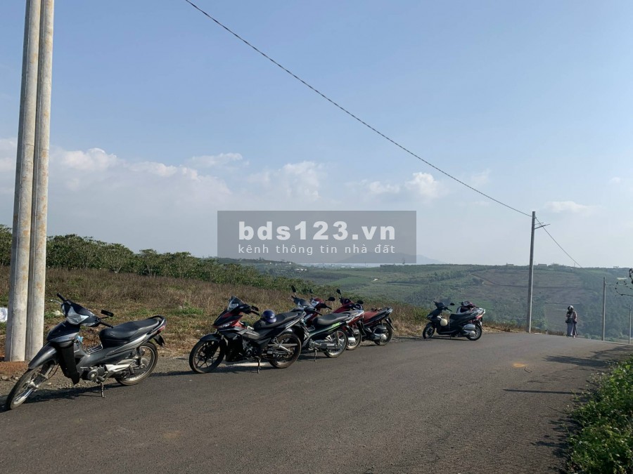 Không khí trong lành, mát mẻ, không gian sống xanh, view suối, 1500m2 trung tâm bảo lộc