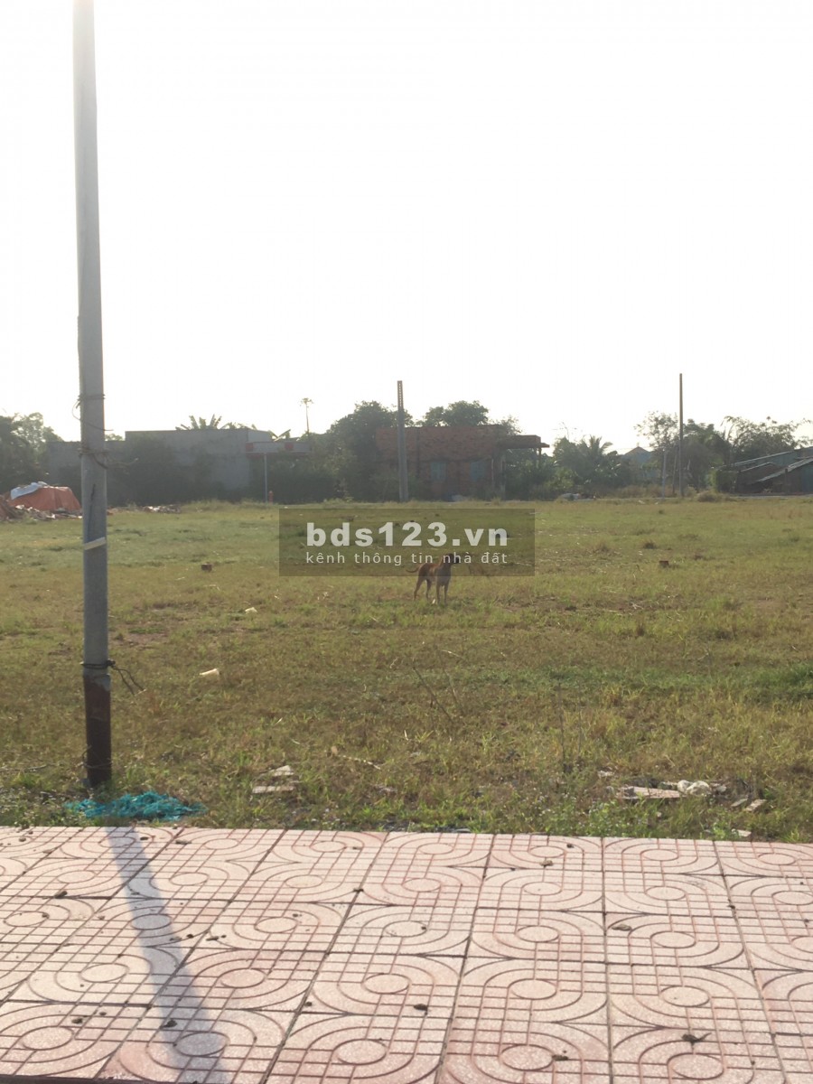 BÁN ĐẤT GẦN KCN THUẬN ĐẠO, MT ĐƯỜNG NGUYỄN TRUNG TRỰC