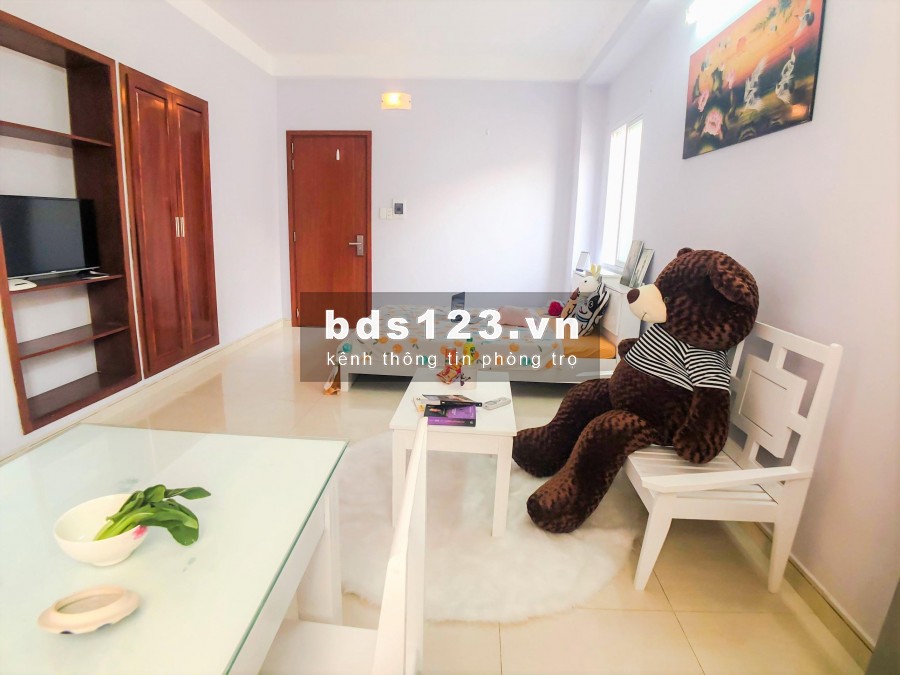 Cho thuê CĂN HỘ DV đầy đủ tiện nghi P15 TÂN BÌNH
