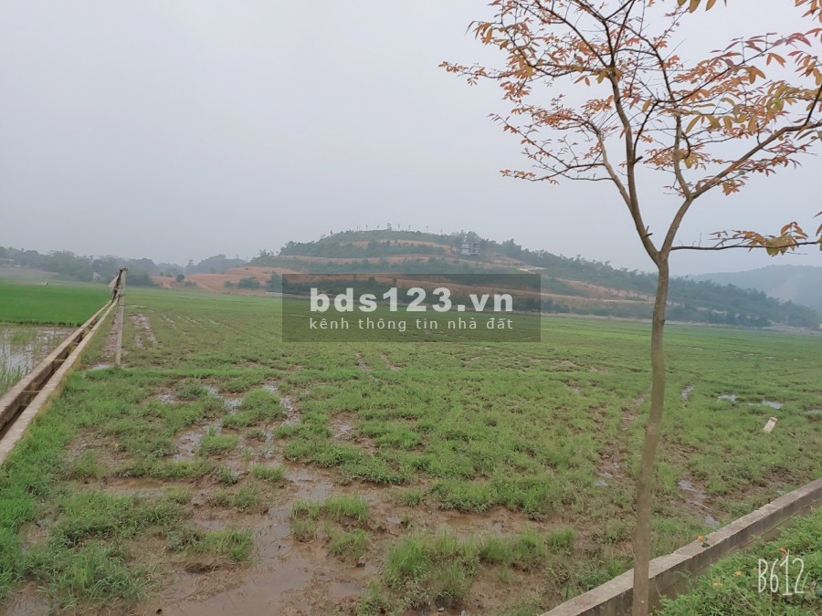 Bán đất dự án phân lô liền kề khu đáu giá Tân Vinh, Lương Sơn, Hoà Bình, giá tốt đầu tư