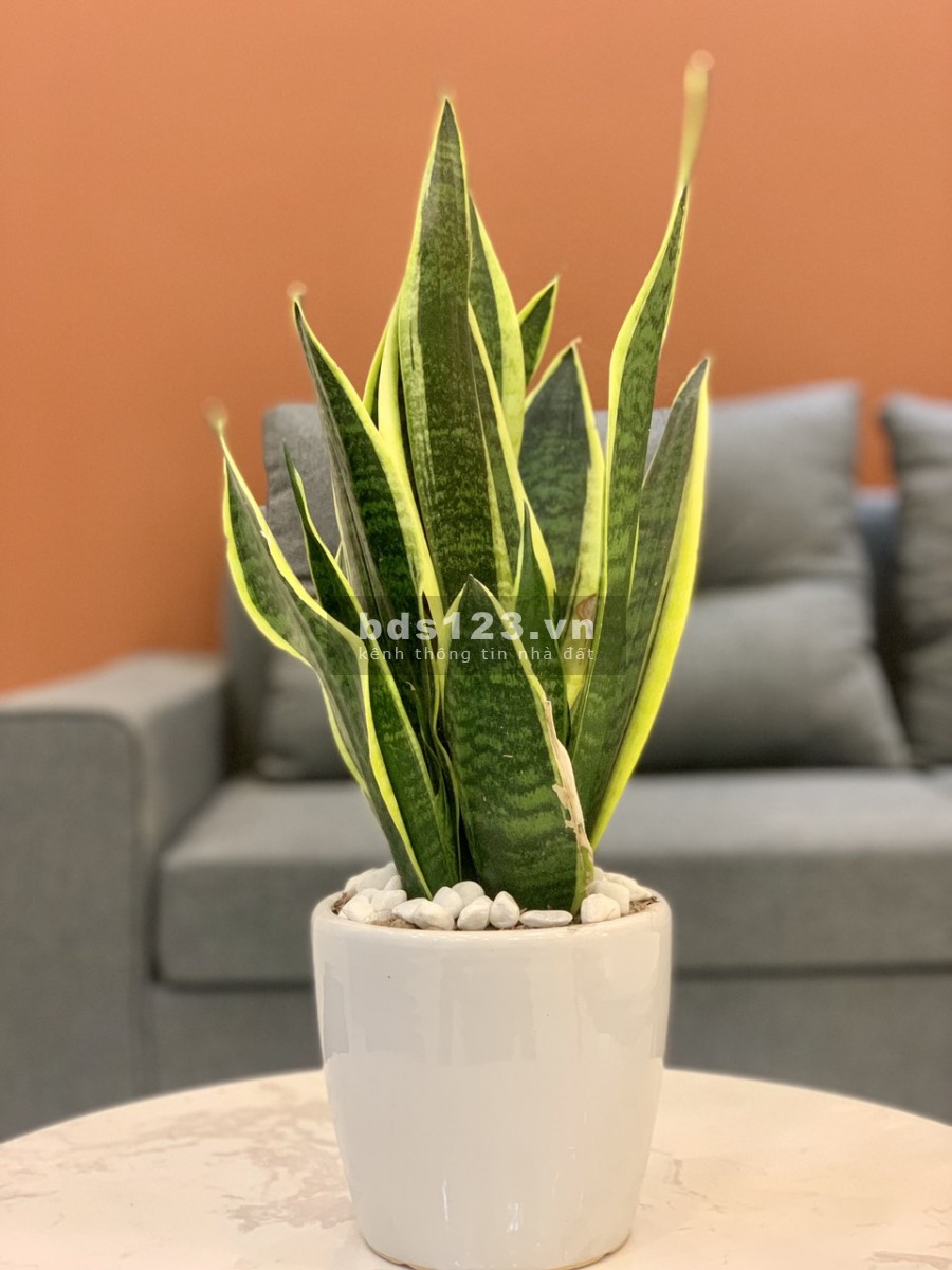 Bán nhà phố Vũ Hựu, ph Thanh Bình, TP HD 50.1m2, mt 4.5m, 3 tầng, 2.2 tỷ, ngõ rộng