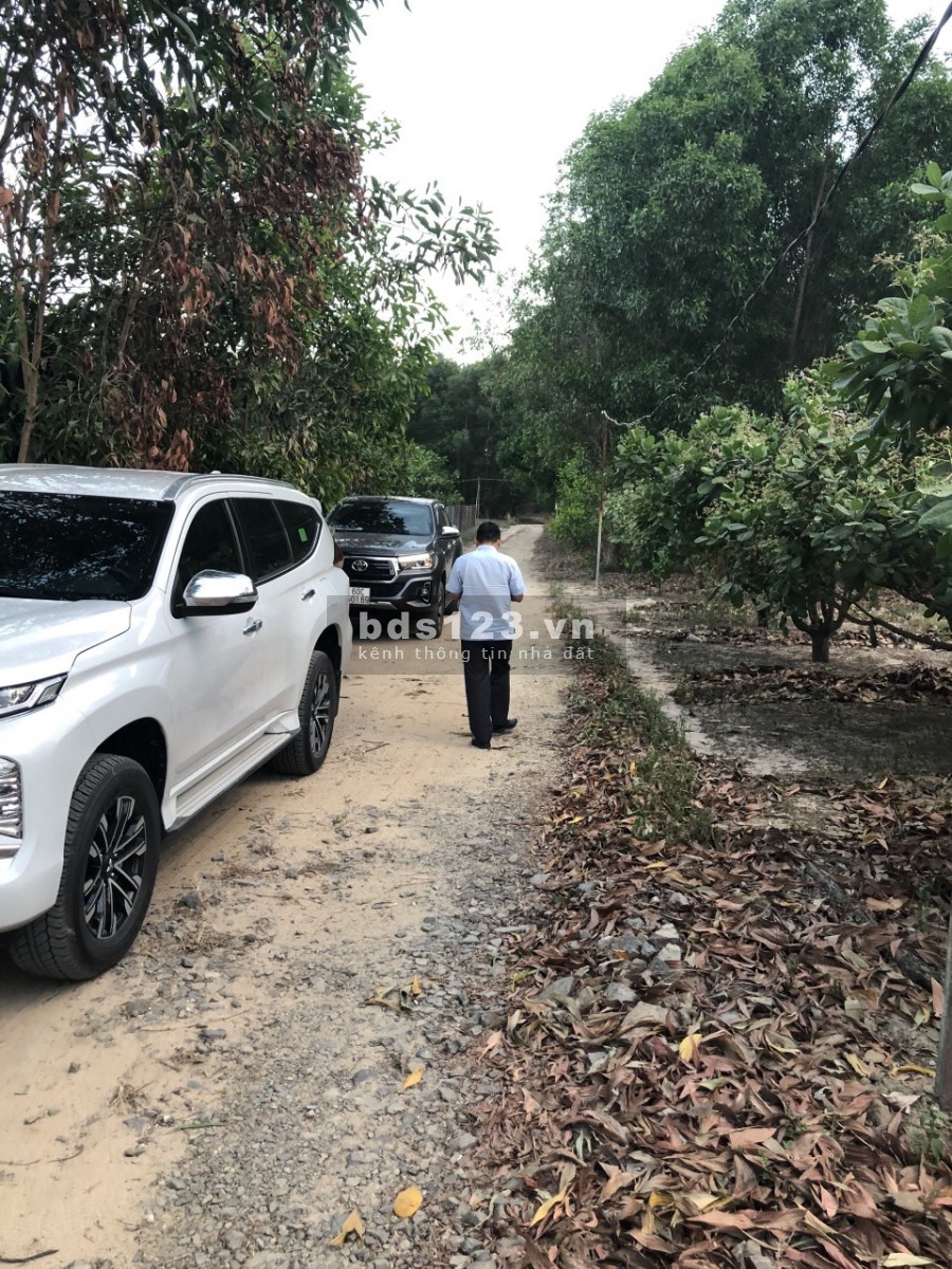 Đất Long Thành giá tốt nhất, sổ riêng, 1000-10.000m2