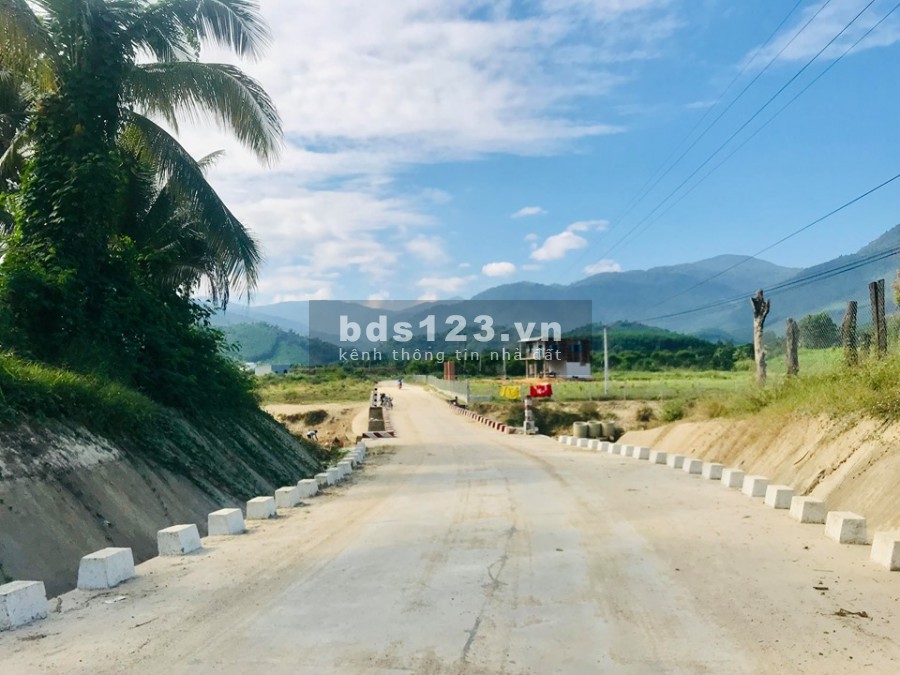 bán đất mặt tiền HL62 rộng 3ha cây lâu năm xã Khánh Phú gần trường Happy Village