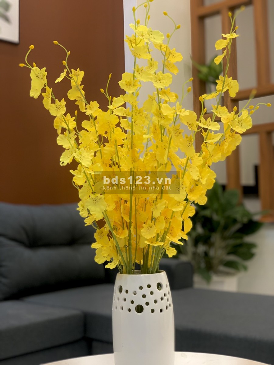 Bán nhà phố Vũ Hựu, ph Thanh Bình, TP HD 50.1m2, mt 4.5m, 3 tầng, 2.2 tỷ, ngõ rộng