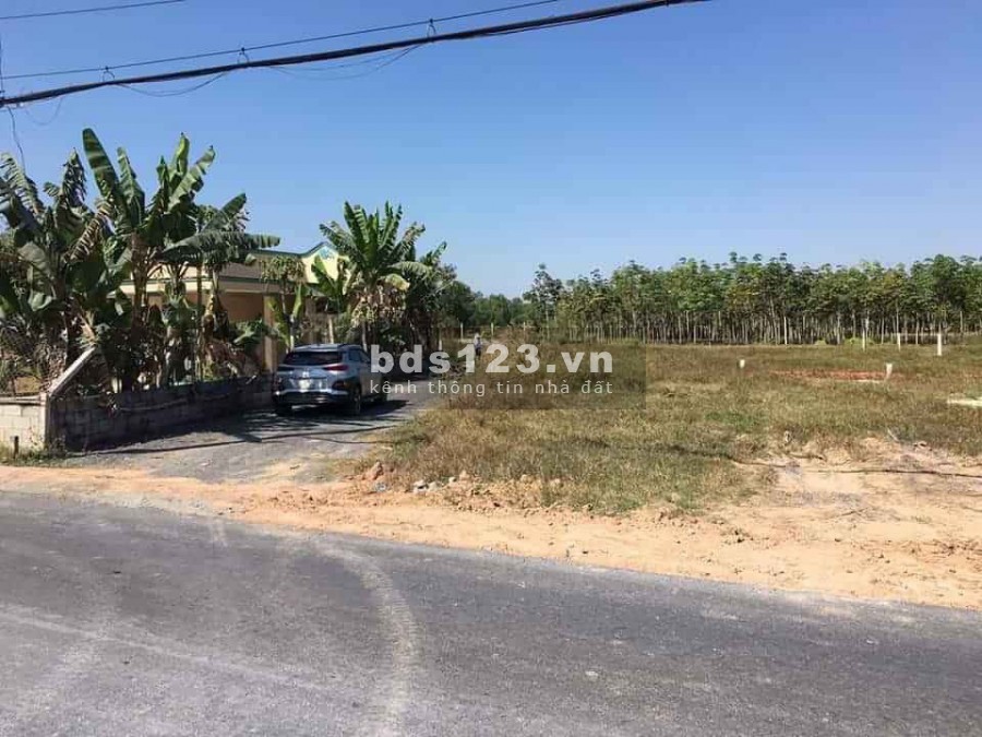 Đất rẻ mặt tiền Bà Thiên, Củ Chi. 220m2/ giá 2,15 tỷ TL