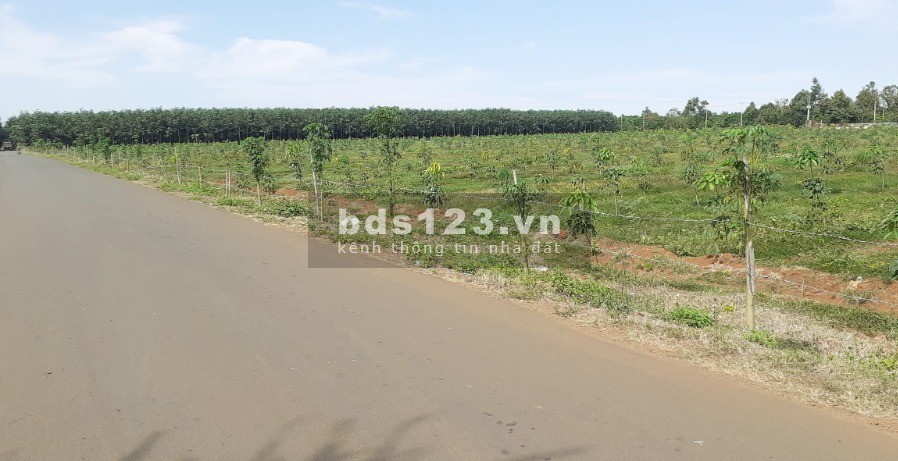 ĐẤT THẬT GIÁ THẬT 5000M2 ĐẤT SÁT MẶT TIỀN ĐƯỜNG NHỰA LỚN GIÁ 470TR, GIÁ CÓ THƯƠNG LƯỢNG