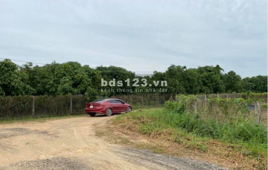 Cần bán 2 sào đất vườn tại bình phước