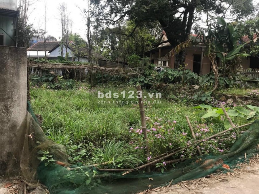 Đất 134,5m2 Lê Ngô Cát, Thuỷ Xuân, Huế, Giá Tốt