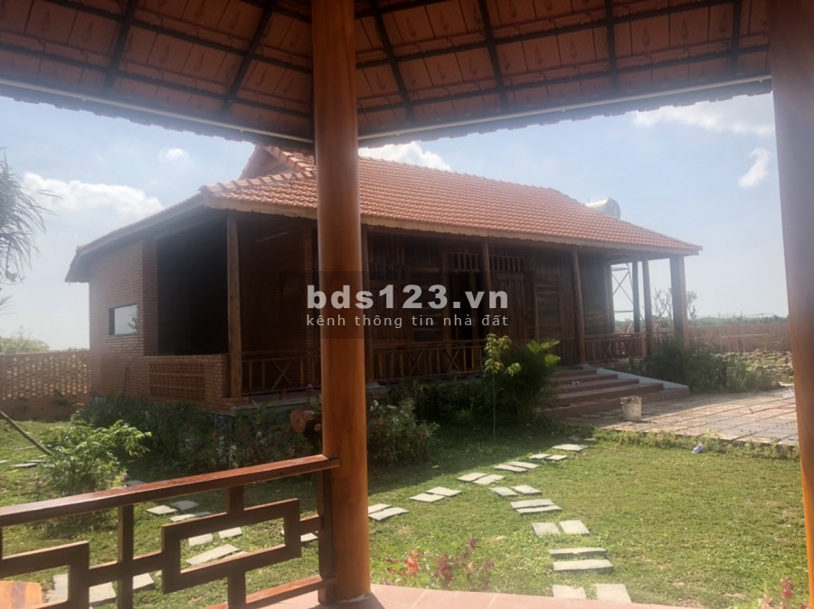 Tôi cần bán 9000m2 đã tách 9 sổ, gần suối nước nóng Bình Châu, tiện xây nhà vườn, đầu tư để dành, chỉ có 1,1tỷ (1tr/m2).